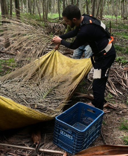 Captura de tela 2025-11-28 134532