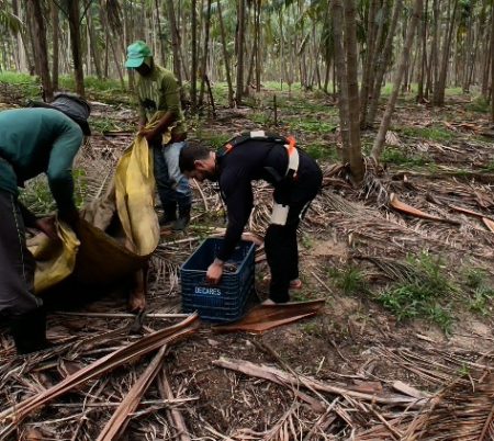 Captura de tela 2025-11-28 134645